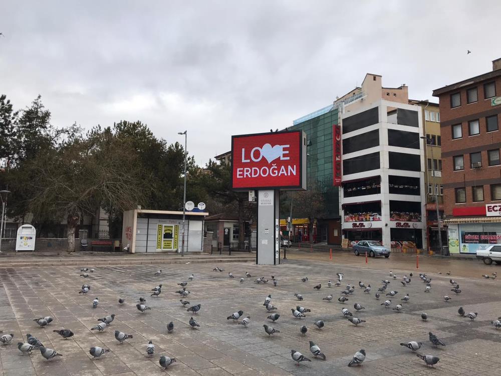 Love Erdoğan
